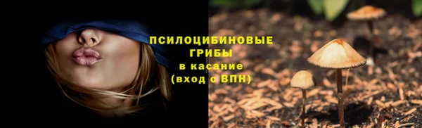 сатива Краснотурьинск
